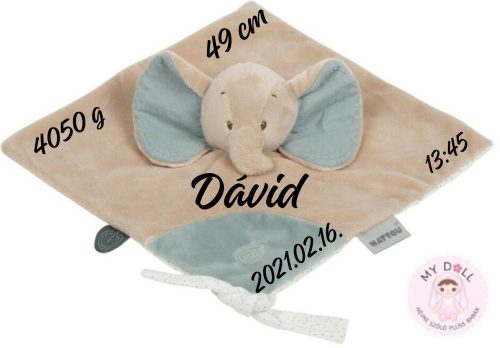 NATTOU SZUNDIKENDŐ PLÜSS LUNA AND AXEL, AXEL, AZ ELEFÁNT (Névre szóló) 